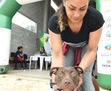 CastraPet leva saúde e bem-estar a cães e gatos da Região Metropolitana de Curitiba