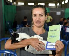 CastraPet leva saúde e bem-estar a cães e gatos da Região Metropolitana de Curitiba