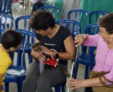 CastraPet leva saúde e bem-estar a cães e gatos da Região Metropolitana de Curitiba