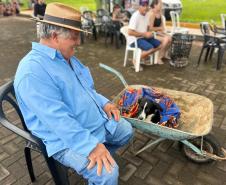 Com destaque para RMC, CastraPet vai beneficiar cães e gatos de 42 municípios em fevereiro