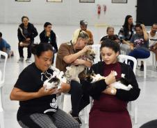 CastraPet leva saúde e bem-estar a cães e gatos da Região Metropolitana de Curitiba