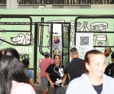 CastraPet leva saúde e bem-estar a cães e gatos da Região Metropolitana de Curitiba