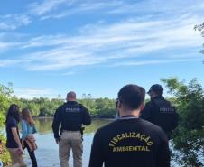 IAT cria novo canal para denúncias de crimes ambientais no Paraná