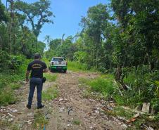 IAT cria novo canal para denúncias de crimes ambientais no Paraná