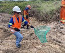 Monitoramento ambiental garante requalificação eficiente da orla de Pontal do Paraná
