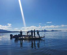 Período de Defeso da Piracema termina no domingo em todo o Paraná