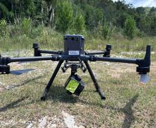 Downburst: Simepar detalha fenômeno que atingiu Campina Grande do Sul e Sudoeste