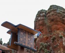 Parque Estadual de Vila Velha vira museu a céu aberto com projeto do MON