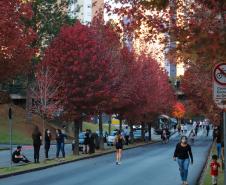 Outono começa na sexta com chuva acima da média e mais dias com amplitude térmica