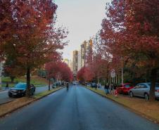 Outono começa na sexta com chuva acima da média e mais dias com amplitude térmica