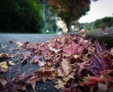 Outono começa na sexta com chuva acima da média e mais dias com amplitude térmica