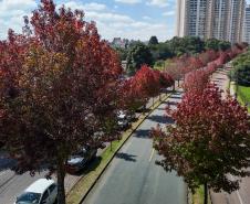 Outono começa na sexta com chuva acima da média e mais dias com amplitude térmica