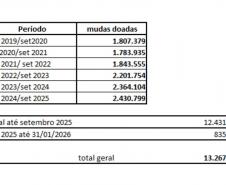 Paraná supera 13,2 milhões de mudas distribuídas: conheças as espécies mais procuradas