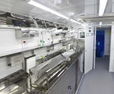 Estado amplia vagas de castração de gatos para combater a esporotricose