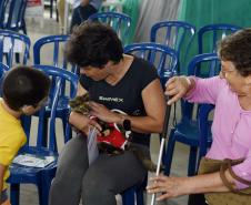 Estado amplia vagas de castração de gatos para combater a esporotricose