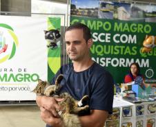 Estado amplia vagas de castração de gatos para combater a esporotricose