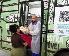 Estado amplia vagas de castração de gatos para combater a esporotricose