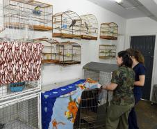 IAT reforça parceria com a Unicentro para atendimento à fauna silvestre 