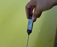 Dia Mundial da Água: projetos de educação ambiental ganham força nas escolas do Paraná