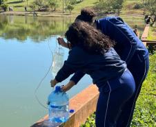Dia Mundial da Água: projetos de educação ambiental ganham força nas escolas do Paraná