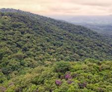 Paraná é um dos quatro estados do Brasil a contar com Plano de Ação Climática 