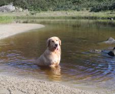 Fim de semana será de sol e calor pelo Paraná, prevê o Simepar