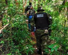 IAT e Polícia Militar multam 15 pessoas por acesso irregular ao Pico Paraná em um dia
