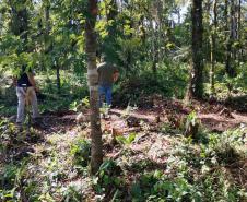 IAT aplicou R$ 1,9 milhão em multas por crimes ambientais durante o Verão Maior Paraná