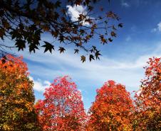 Primeiro fim de semana de outono será de calor e pancadas de chuva isoladas no Paraná