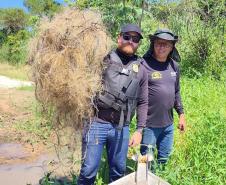 IAT apreende 222 quilos de peixe e aplica R$ 169,2 mil em multas durante a Piracema