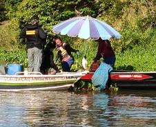 IAT apreende 222 quilos de peixe e aplica R$ 169,2 mil em multas durante a Piracema