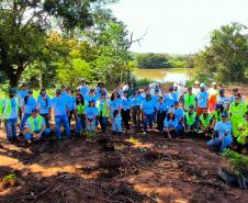 IAT e EPR Litoral Pioneiro promovem recuperação de mata ciliar no Rio Paranapanema