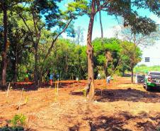 IAT e EPR Litoral Pioneiro promovem recuperação de mata ciliar no Rio Paranapanema