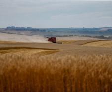 Monitor da ANA aponta avanço da seca fraca no Centro-Oeste do Paraná em fevereiro