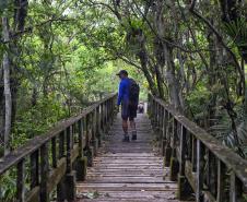 Parque Rio da Onça: um paraíso da Mata Atlântica encravado entre as praias do Paraná