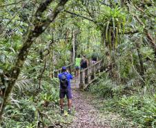 Parque Rio da Onça: um paraíso da Mata Atlântica encravado entre as praias do Paraná