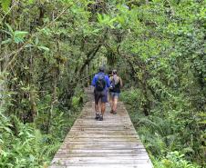 Parque Rio da Onça: um paraíso da Mata Atlântica encravado entre as praias do Paraná