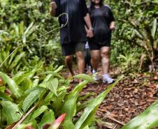 Parque Rio da Onça: um paraíso da Mata Atlântica encravado entre as praias do Paraná