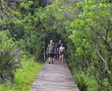 Parque Rio da Onça: um paraíso da Mata Atlântica encravado entre as praias do Paraná