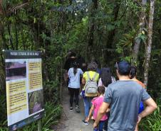 Parque Rio da Onça: um paraíso da Mata Atlântica encravado entre as praias do Paraná
