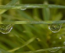 Dia Mundial da Água: IAT promove uma série de atividades para conscientizar a população