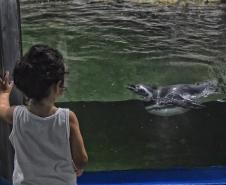 Natureza do Paraná: confira seis dicas de passeios para o feriado de Tiradentes