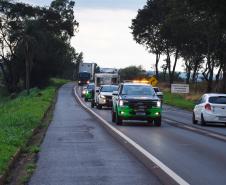 IAT resgata 29 cutias e 9 pacas de criadouro irregular em Cantagalo, no Centro-Sul