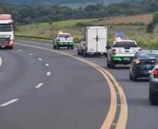 IAT resgata 29 cutias e 9 pacas de criadouro irregular em Cantagalo, no Centro-Sul