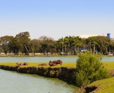 Abril terá chuva abaixo e temperatura acima da média na maior parte do Paraná