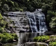 Jardim Botânico de Londrina: passeio pela flora nativa do Paraná 