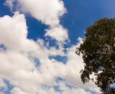 De olho no céu: Simepar explica os tipos de nuvens que apresentam riscos de tempestades