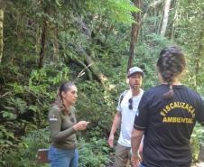 IAT fecha trilha e multa em R$ 23 mil responsável por acesso clandestino ao Pico Paraná