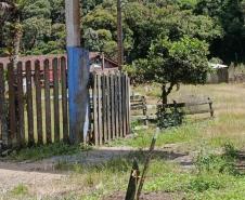 IAT fecha trilha e multa em R$ 23 mil responsável por acesso clandestino ao Pico Paraná