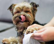 Contrapartida social do Paraná Competitivo vai revitalizar praças com foco pet